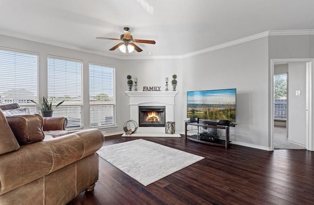 living room featuring ceiling fan, dark hardwood / wood-style flooring, and crown molding