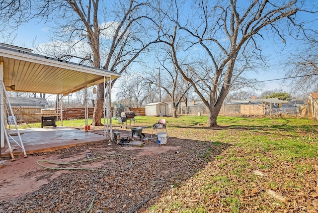 view of yard with a patio and a storage unit