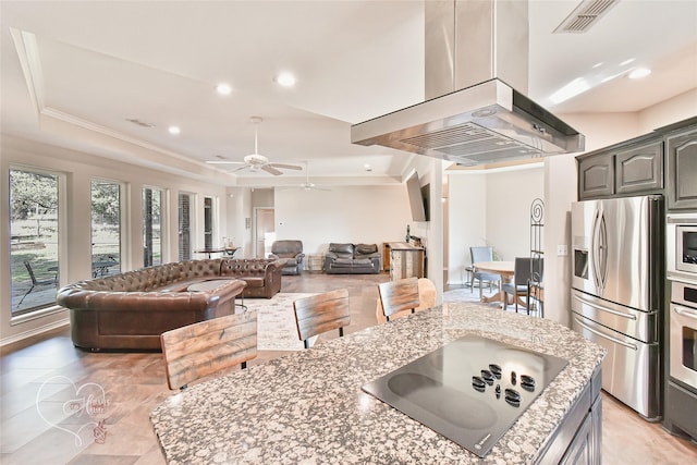 kitchen with appliances with stainless steel finishes, island exhaust hood, crown molding, a raised ceiling, and a center island