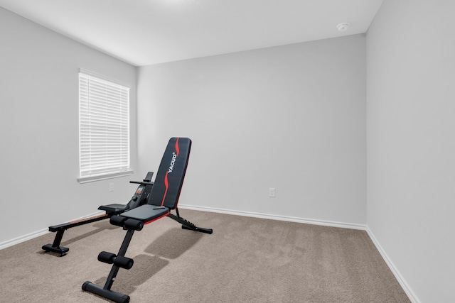 exercise area with carpet flooring