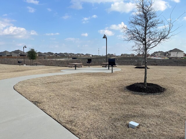 rear view of property with a patio area and a yard