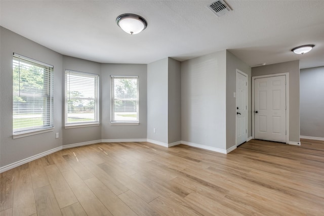 spare room featuring plenty of natural light and light hardwood / wood-style flooring