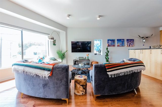 living room featuring wood-type flooring