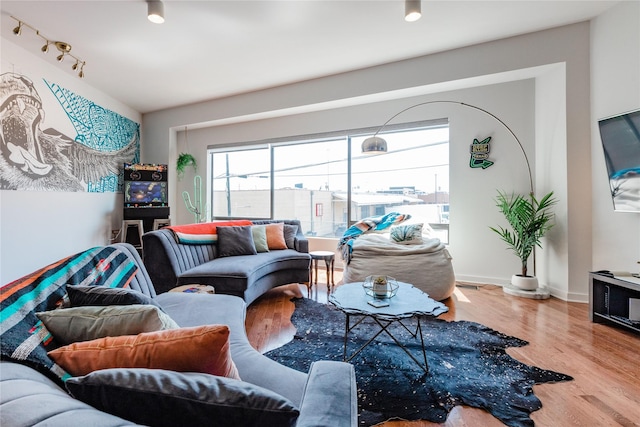 living room featuring wood-type flooring