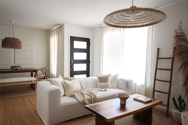 living room featuring hardwood / wood-style floors