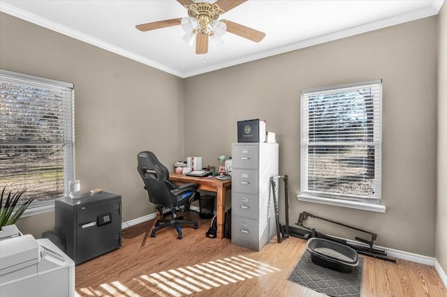 office space with light wood-type flooring, ceiling fan, and crown molding