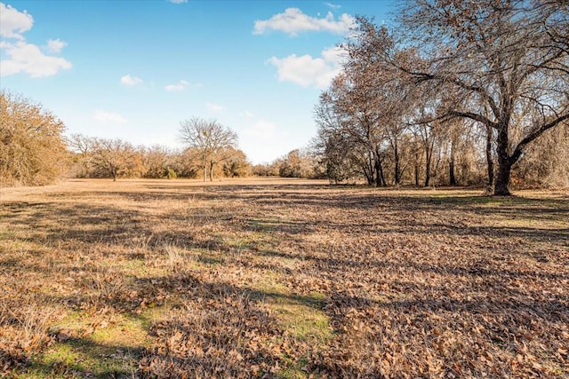 view of nature featuring a rural view