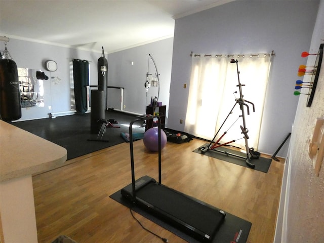 exercise room with hardwood / wood-style flooring and ornamental molding