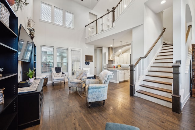 living room featuring a high ceiling and dark hardwood / wood-style floors