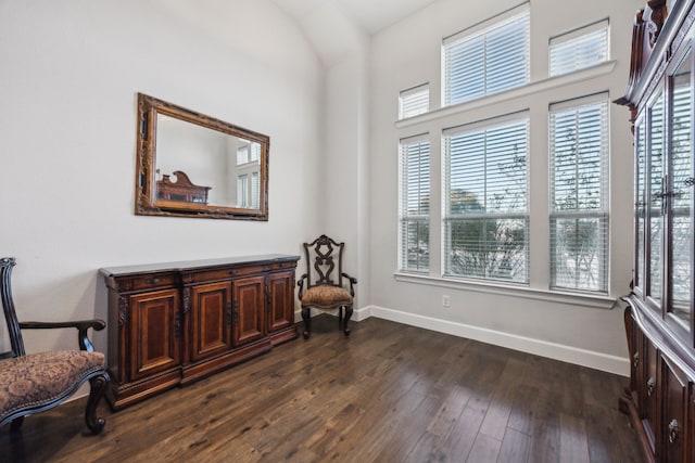 sitting room with a healthy amount of sunlight and dark hardwood / wood-style flooring