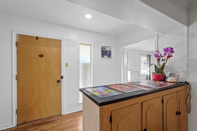 kitchen with light hardwood / wood-style floors