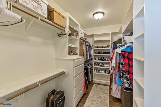 walk in closet featuring dark hardwood / wood-style floors