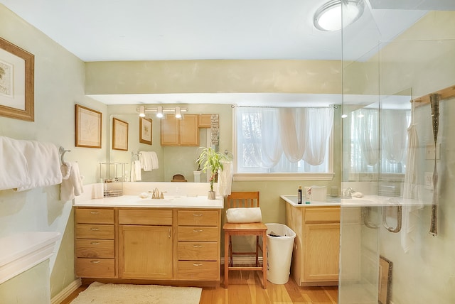 bathroom featuring vanity and hardwood / wood-style floors