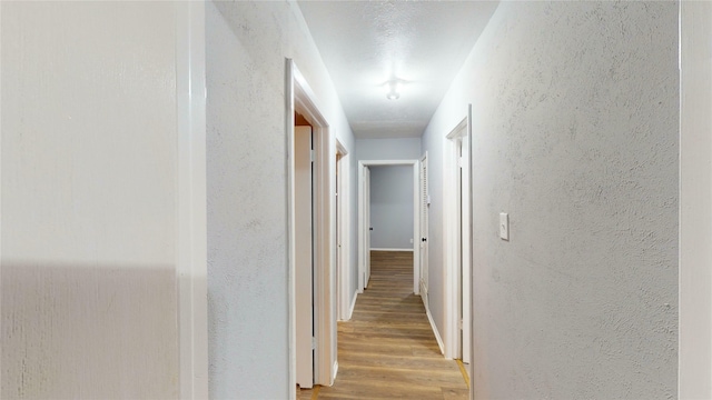 hall featuring light hardwood / wood-style flooring