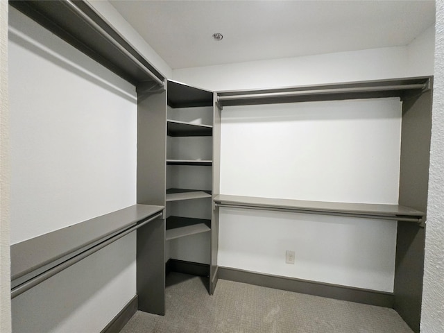 walk in closet with carpet