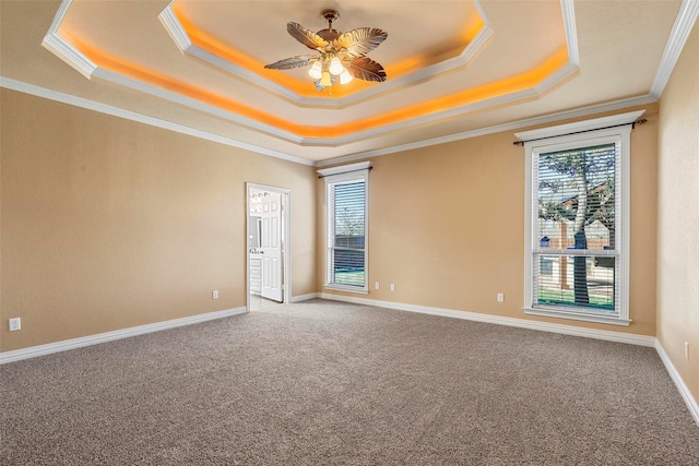 carpeted spare room with ceiling fan, a raised ceiling, and crown molding