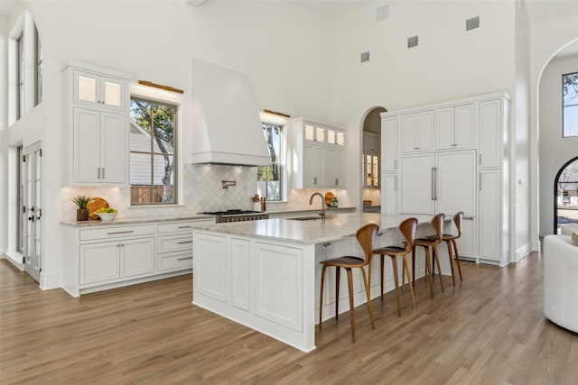 kitchen with premium range hood, a high ceiling, and white cabinets