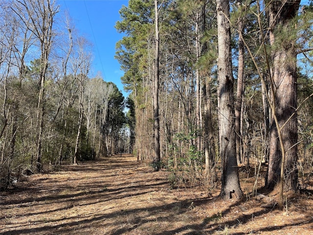 view of local wilderness