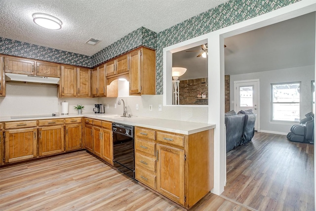 kitchen with light hardwood / wood-style floors, sink, a textured ceiling, and black appliances