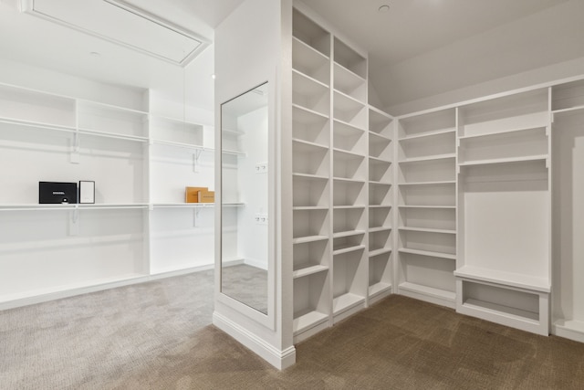 walk in closet featuring carpet floors