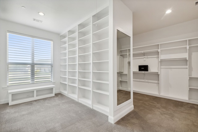 spacious closet with carpet flooring