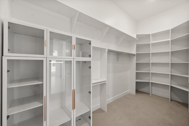 walk in closet with light carpet