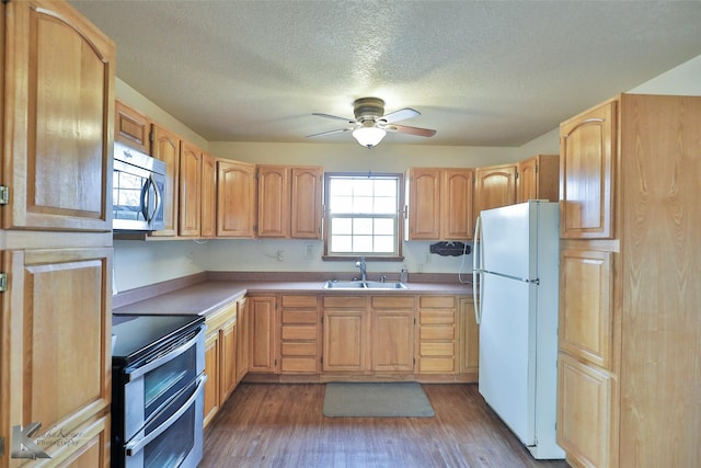 kitchen featuring sink, hardwood / wood-style flooring, ceiling fan, and appliances with stainless steel finishes