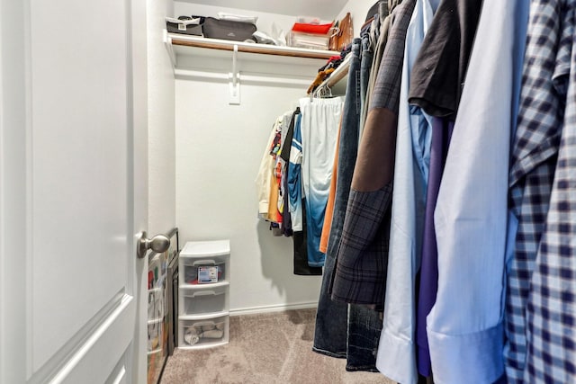 walk in closet featuring light colored carpet