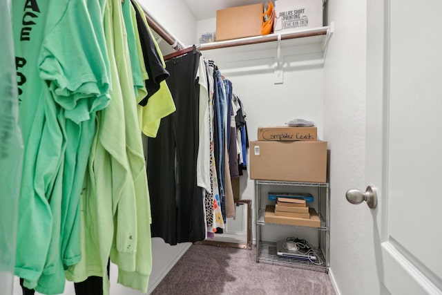 walk in closet with carpet floors