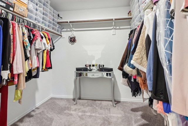 spacious closet with light carpet