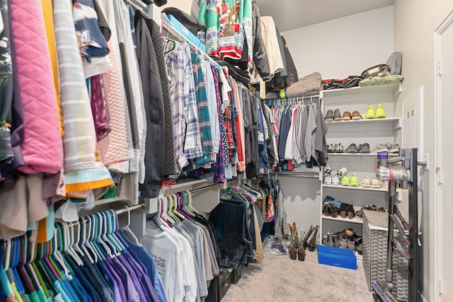 walk in closet featuring carpet floors