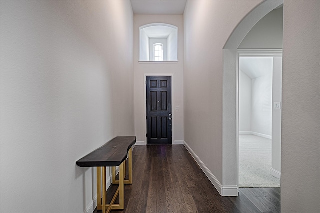 entryway featuring dark hardwood / wood-style floors and a high ceiling