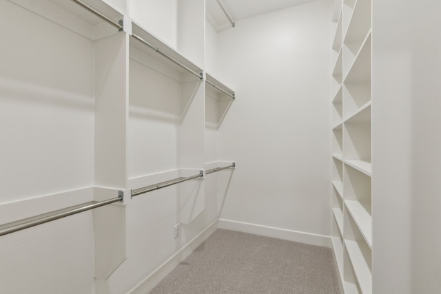 spacious closet with light colored carpet