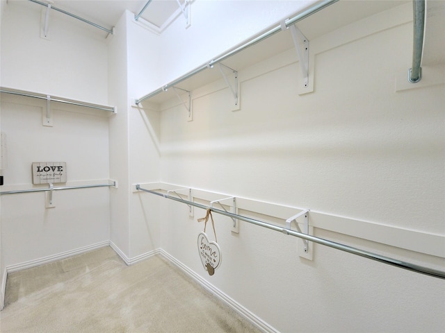 spacious closet featuring light carpet