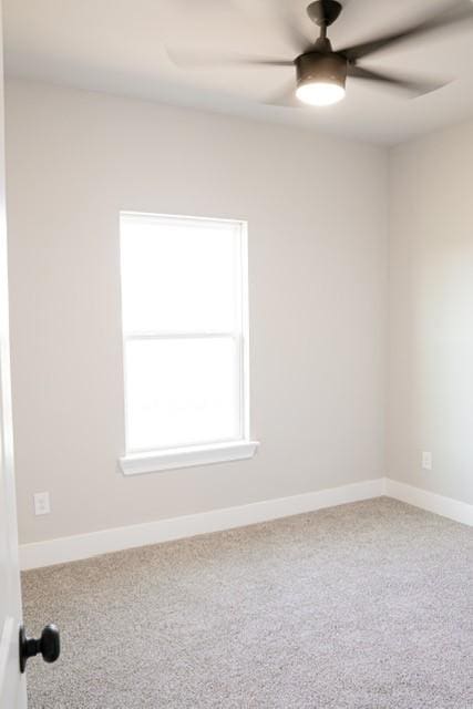 spare room featuring ceiling fan and carpet flooring