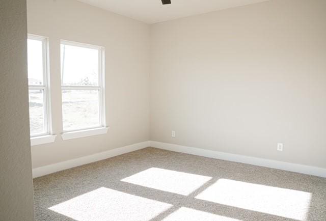 empty room with carpet flooring