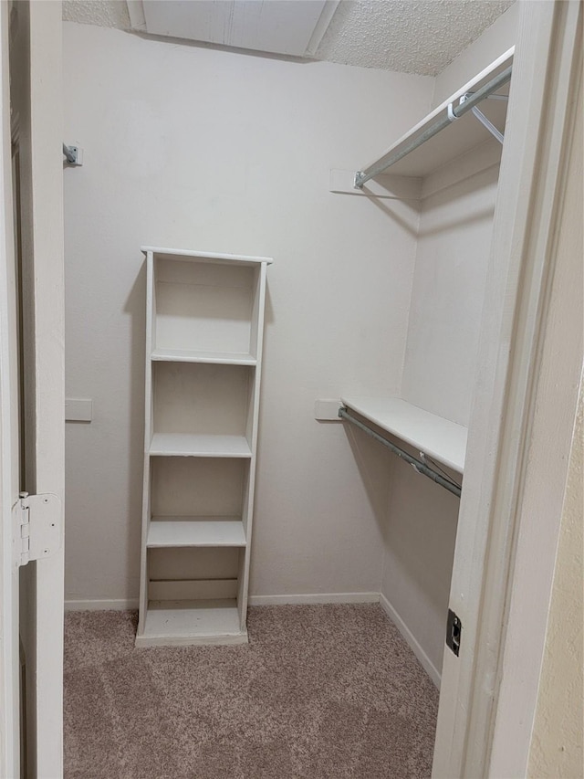 spacious closet featuring carpet floors