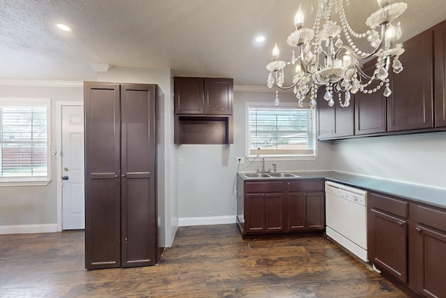 kitchen with sink, dishwasher, dark hardwood / wood-style floors, ornamental molding, and a textured ceiling