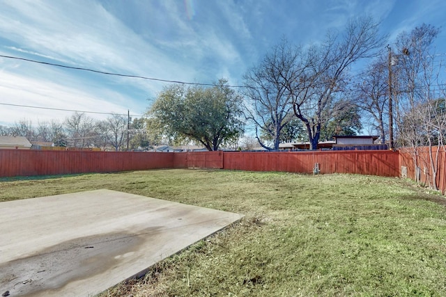 view of yard featuring a patio area