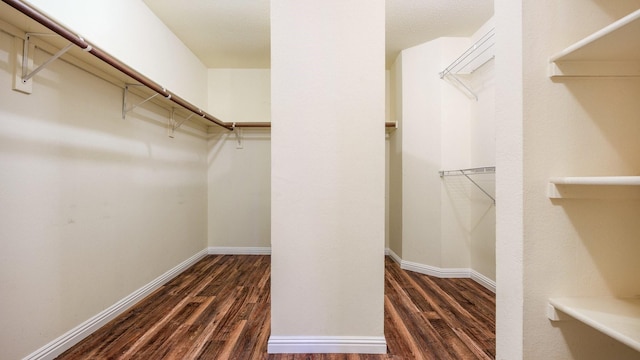 spacious closet with dark wood-type flooring