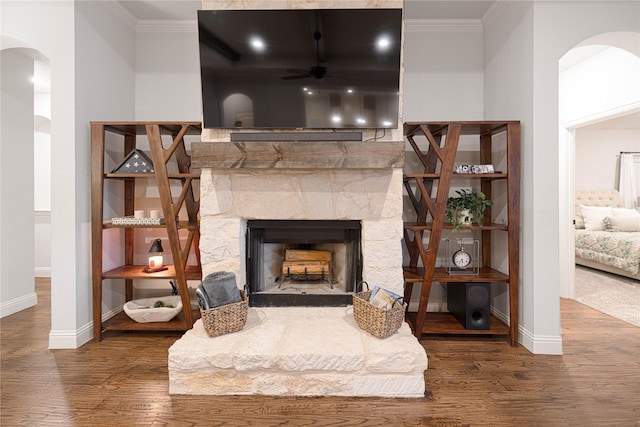 details with a fireplace, hardwood / wood-style flooring, crown molding, and ceiling fan