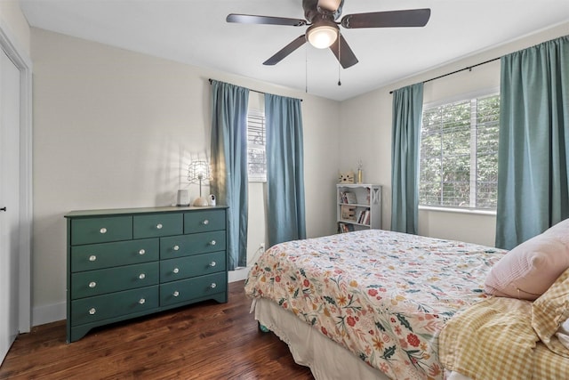 bedroom featuring ceiling fan, dark hardwood / wood-style flooring, and multiple windows