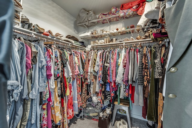 walk in closet with carpet floors