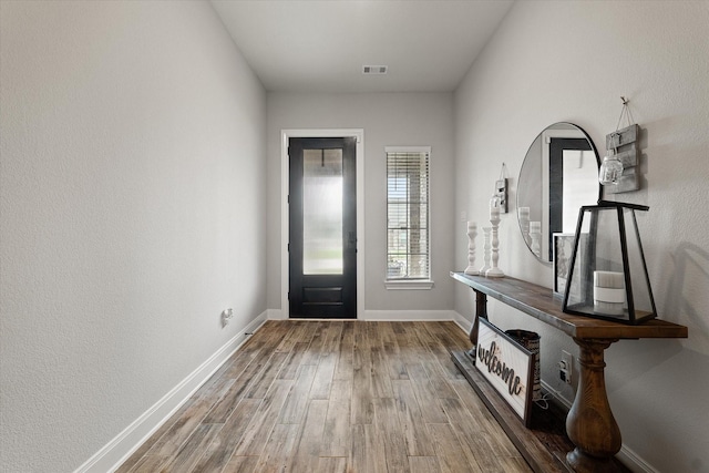 entryway featuring wood-type flooring