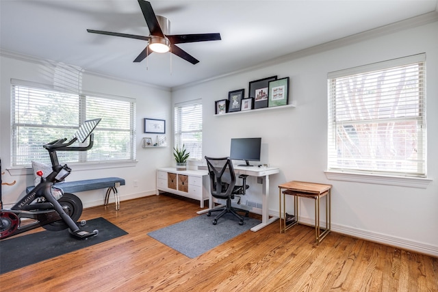 home office featuring hardwood / wood-style flooring, ceiling fan, and ornamental molding