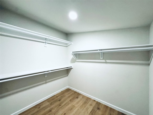 walk in closet featuring hardwood / wood-style flooring