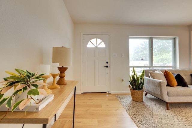 foyer entrance with light wood-type flooring