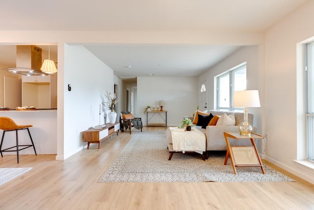 living area featuring light hardwood / wood-style floors