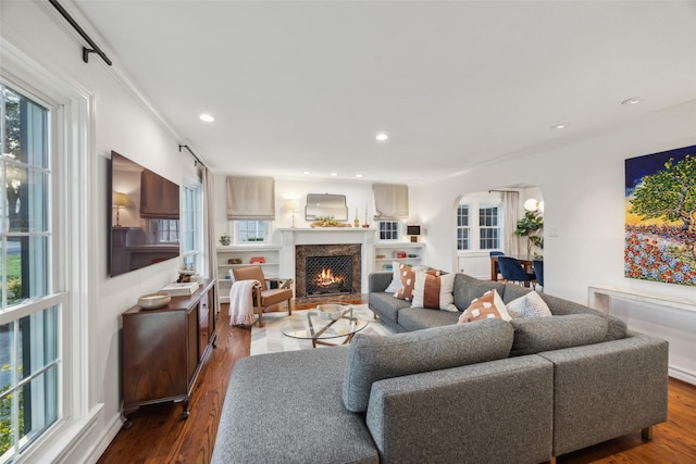 living room featuring wood-type flooring