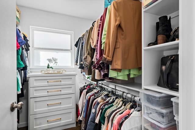 view of spacious closet